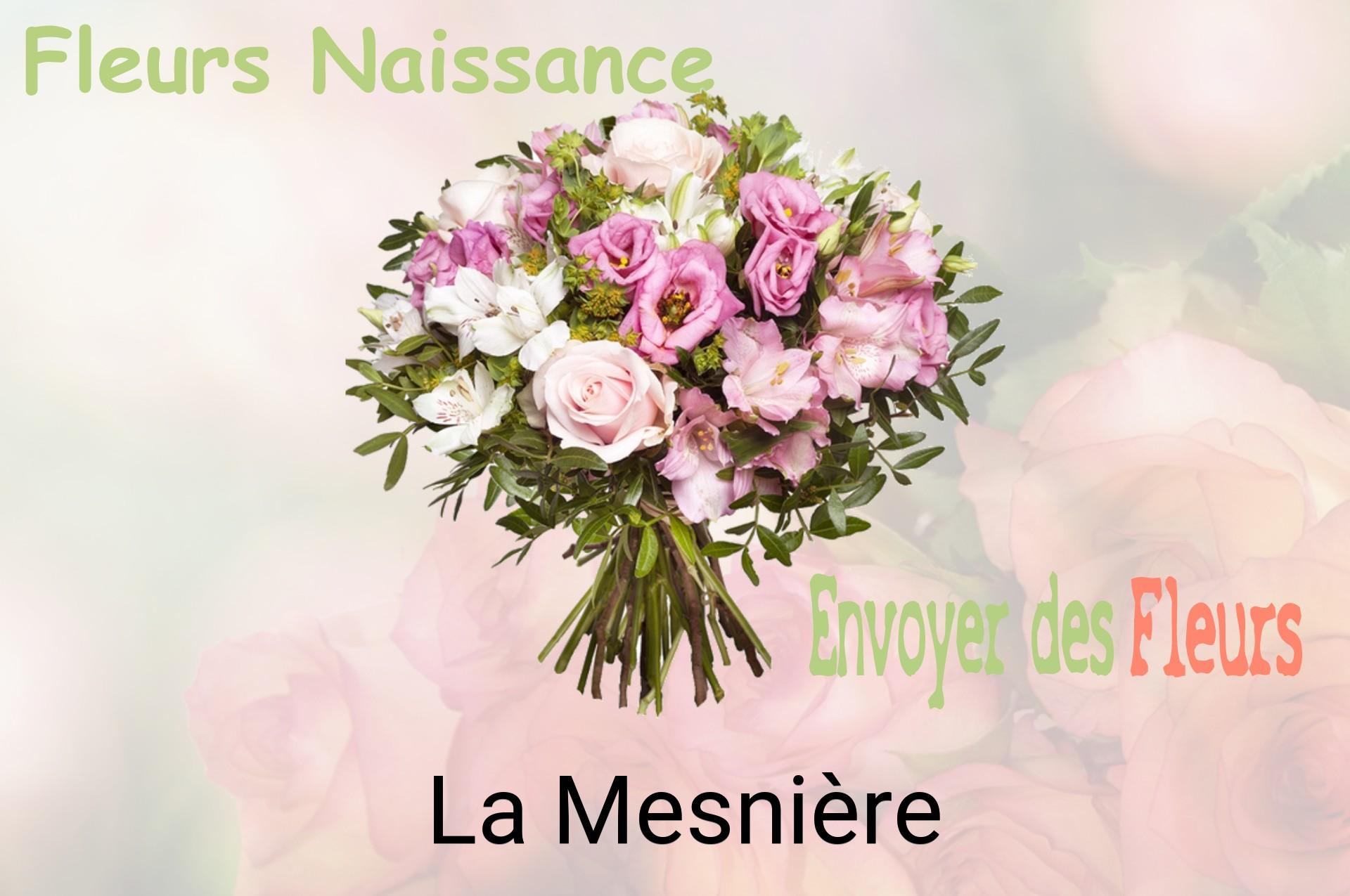 Bouquet de fleurs de naissance livré à La Mesnière